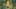 Game screenshot thumbnail 1