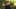 Game screenshot thumbnail 1