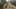 Game screenshot thumbnail 4