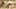 Game screenshot thumbnail 1
