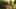 Game screenshot thumbnail 4