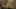 Game screenshot thumbnail 3