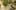 Game screenshot thumbnail 2