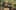 Game screenshot thumbnail 3
