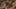 Game screenshot thumbnail 5