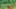 Game screenshot thumbnail 2