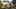 Game screenshot thumbnail 4