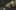 Game screenshot thumbnail 1