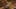 Game screenshot thumbnail 1