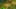 Game screenshot thumbnail 2