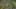 Game screenshot thumbnail 4