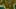 Game screenshot thumbnail 5