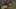Game screenshot thumbnail 5