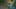 Game screenshot thumbnail 4