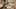 Game screenshot thumbnail 4