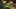 Game screenshot thumbnail 3