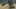 Game screenshot thumbnail 5