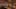 Game screenshot thumbnail 1