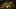 Game screenshot thumbnail 4