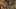 Game screenshot thumbnail 5