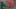 Game screenshot thumbnail 5