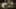 Game screenshot thumbnail 1