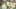 Game screenshot thumbnail 3