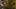 Game screenshot thumbnail 5