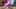 Game screenshot thumbnail 4