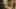 Game screenshot thumbnail 4