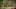Game screenshot thumbnail 1