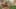 Game screenshot thumbnail 5