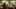 Game screenshot thumbnail 5