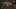 Game screenshot thumbnail 1