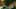 Game screenshot thumbnail 4