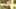 Game screenshot thumbnail 1