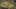 Game screenshot thumbnail 5