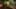 Game screenshot thumbnail 2