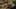 Game screenshot thumbnail 5