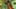 Game screenshot thumbnail 5