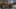 Game screenshot thumbnail 2
