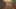 Game screenshot thumbnail 5