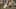 Game screenshot thumbnail 1