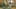 Game screenshot thumbnail 2
