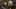Game screenshot thumbnail 2