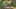 Game screenshot thumbnail 1