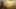 Game screenshot thumbnail 1