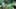 Game screenshot thumbnail 1
