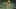 Game screenshot thumbnail 5