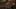 Game screenshot thumbnail 2